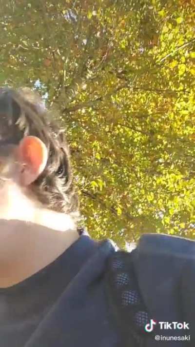This guy says he doesn&rsquo;t shower and doesn&rsquo;t like hygiene. Literally.