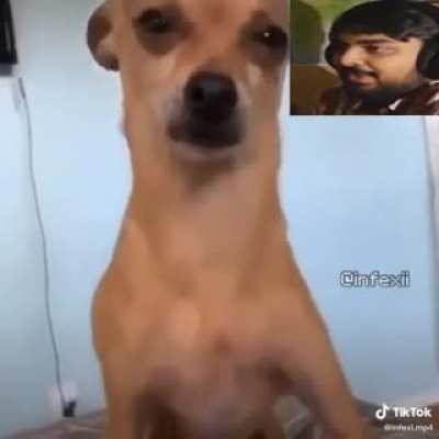 Wait for Muta