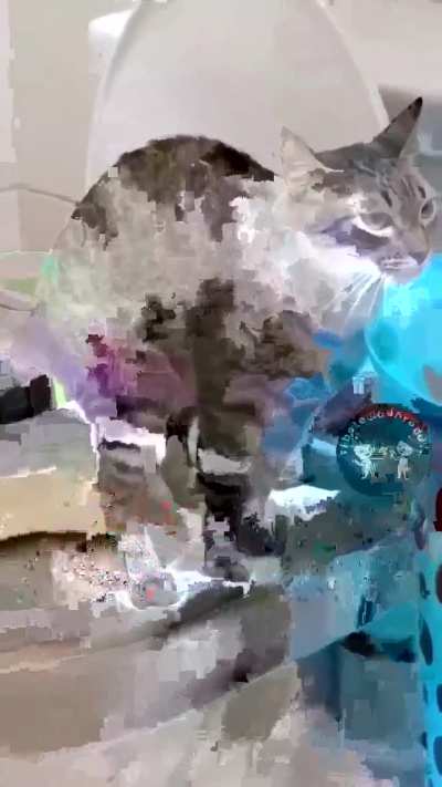  Ok, mais educado que muito humano por a&iacute; 