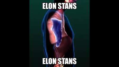 Wholesome reddit billionare 💸💸 just like me, based 😎😎😎😳 ancap 🟨? To mars babey Love you elon 🚀👨&zwj;🚀👩&zwj;🚀