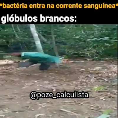s&oacute; os mais brabos v&atilde;o entender KKKKKKKKKKKKKK