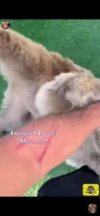 HMRB while I play with my dog (link in comments for full vid)
