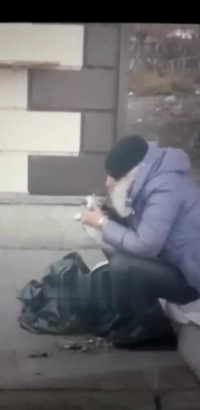 Tasty raw pigeon