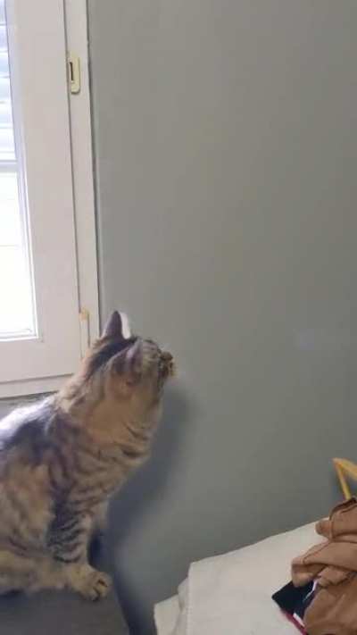 Target neutralized.