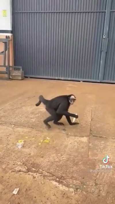 Aqui ó, minha banana pra você