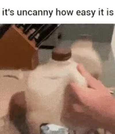 123586