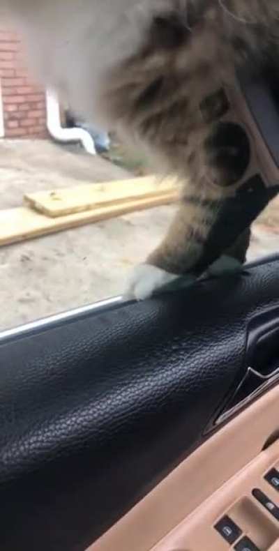 I probably shouldn&rsquo;t have distracted him