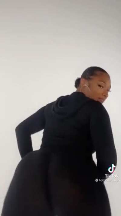 the stallion
