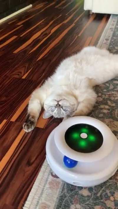 What&rsquo;s going on here? Who turned off the cat?
