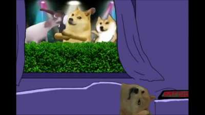 Este 20 va estar perro
