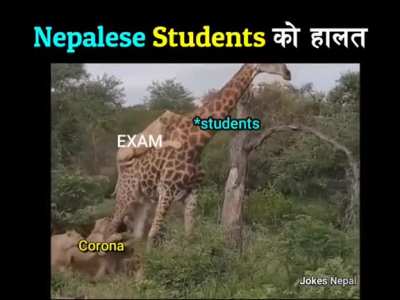 Kaha purayo purayo