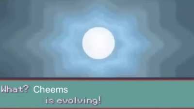 Meet cheems&rsquo; evolution.