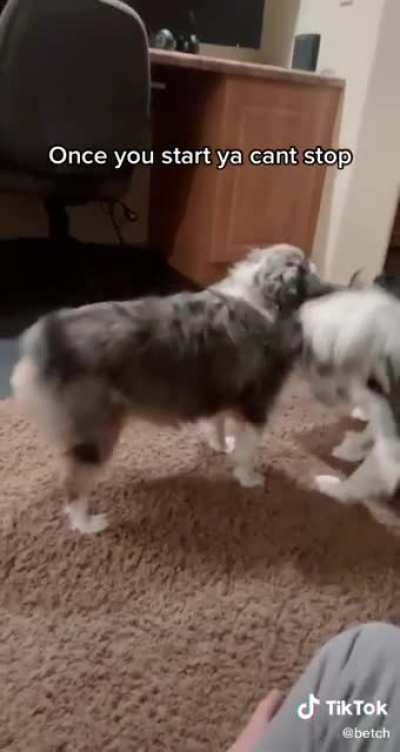 🐕