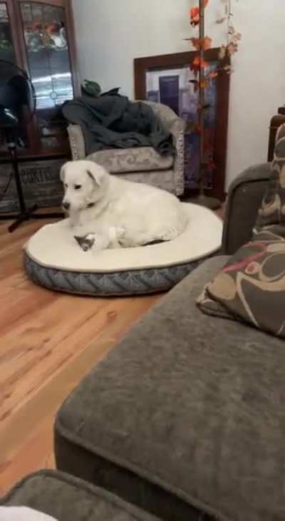 &ldquo;I&rsquo;m just gonna scooch right in here if you don&rsquo;t mind&rdquo;