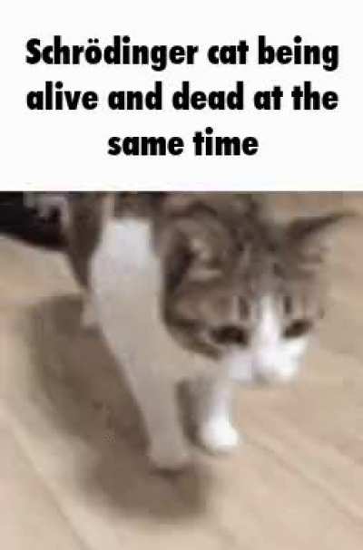 rule