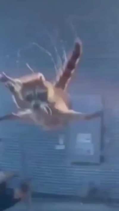 ooo