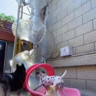 They are having fun!