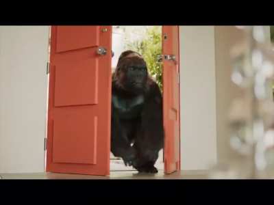 I love gorilla glue commercials