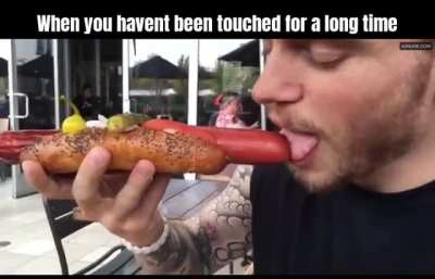 gay🌭irl