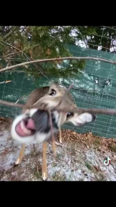 dxtgkmxgtu