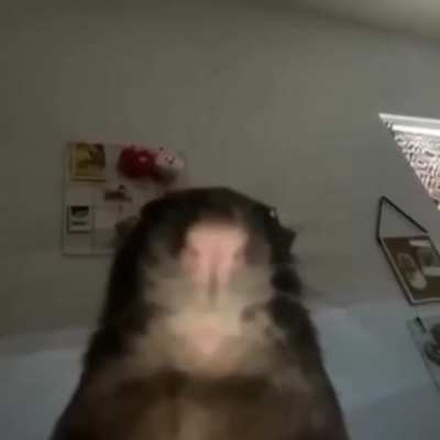 Idk