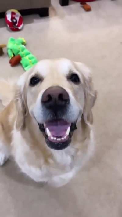 The most joyous of creatures 