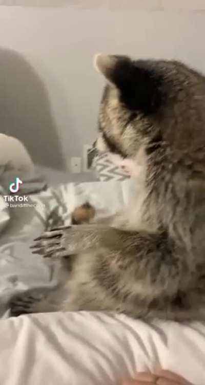 Making sure she&rsquo;s still there