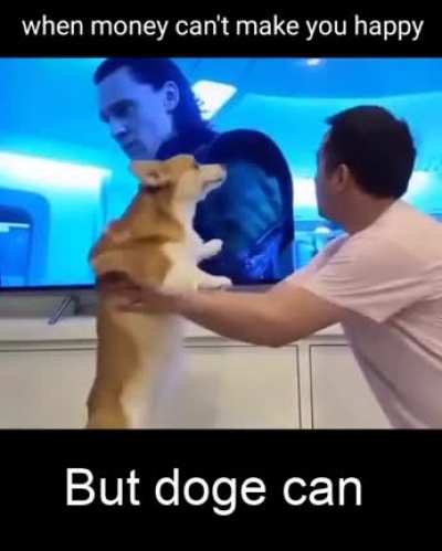 Doge makes me happy