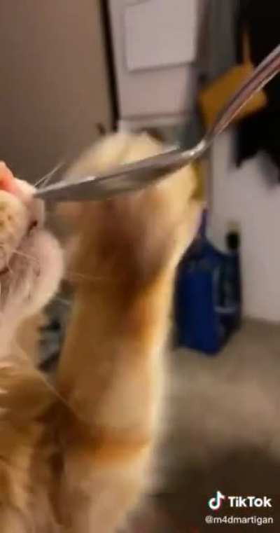 One bite