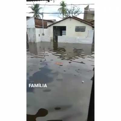Mó paz 🤙