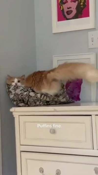 Poor puffin the muffin for the stuffin and funny... that's my diagnosis..