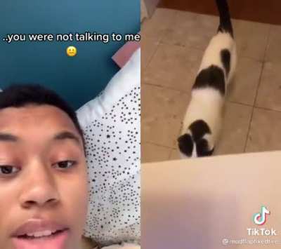meow