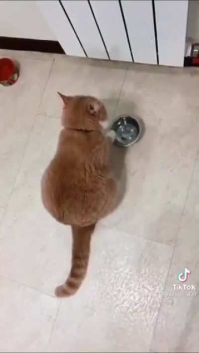 &ldquo;Now I call this song; I&rsquo;m starving&rdquo;