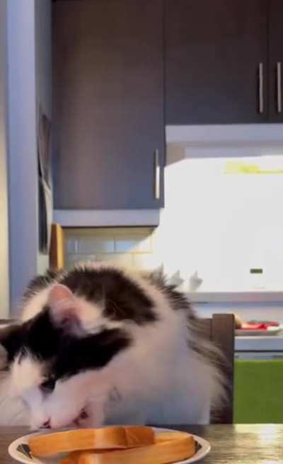 Bread stealer