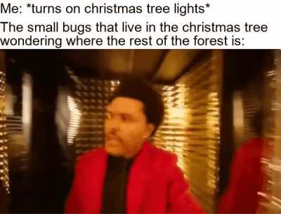 Where the fuck am I