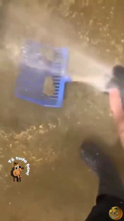 It's too wet...