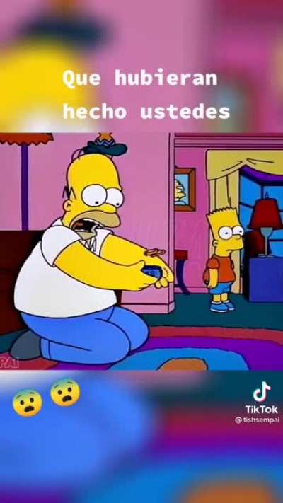 Homer cambiar&eacute;