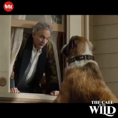 thanks, I hate dog CGI