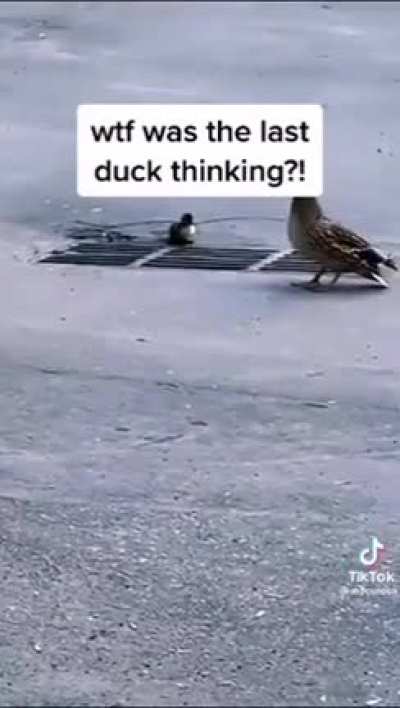 DuC