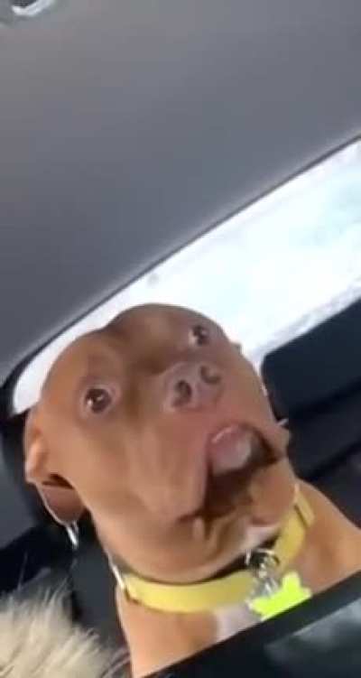 Shouldn’t have gotten in this car