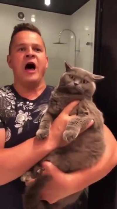 ???