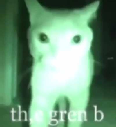 cate