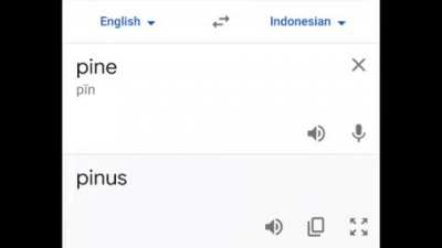 Based indonesian