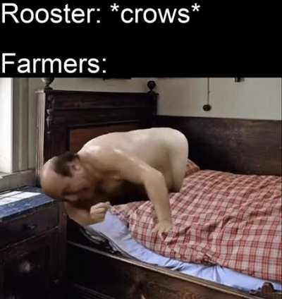 Cock a doodle doo