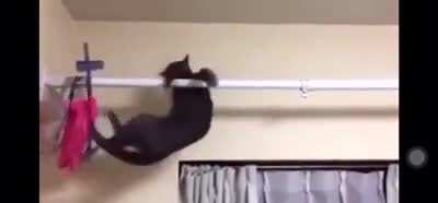 Hanging in there for the rest of 2020 like...