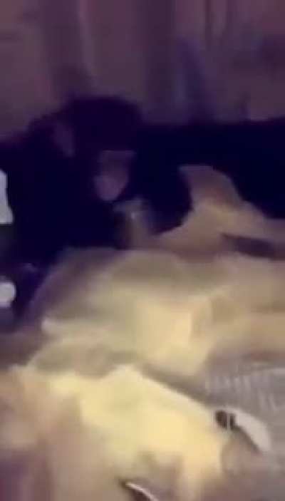 🤭