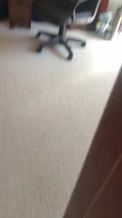 E e e e aaaughaaa