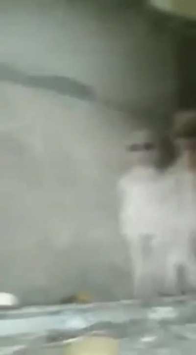 Необычные соседи