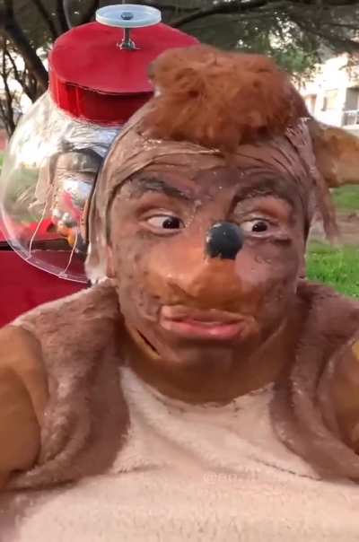 🦝🐦🍬