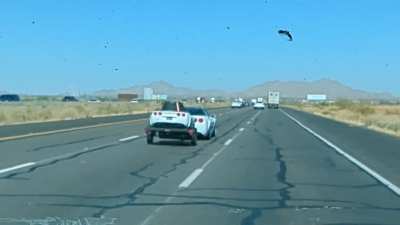 The things I see while driving on I-10